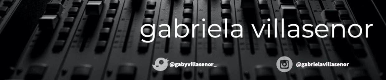 Gabriela Villasenor