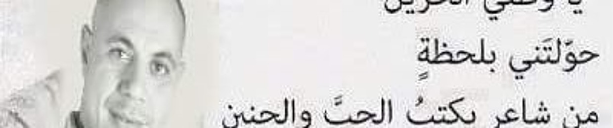 المستشار عمرو درويش