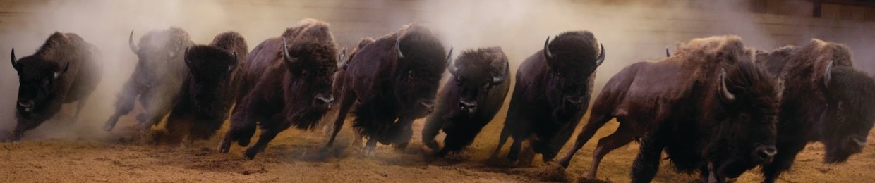 Tatanka Sound