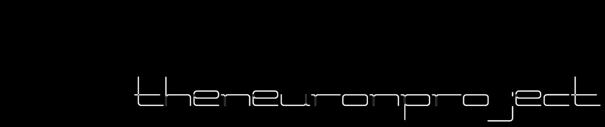 theneuronproject