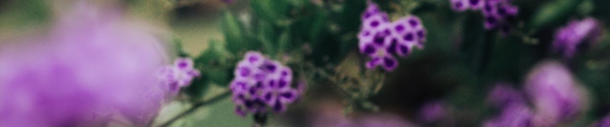 SimÖne (Left Shoe Majority)