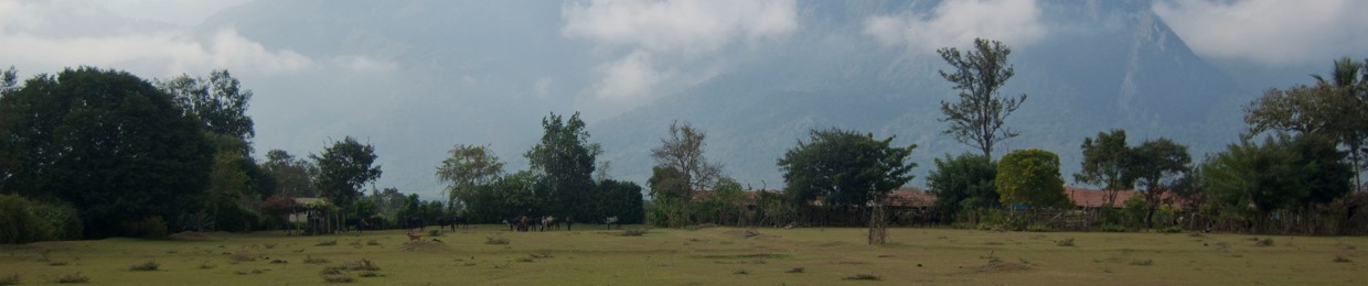 SMK