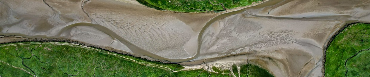 Wouter van der Mark 1