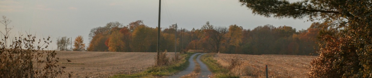 One Wintered Life