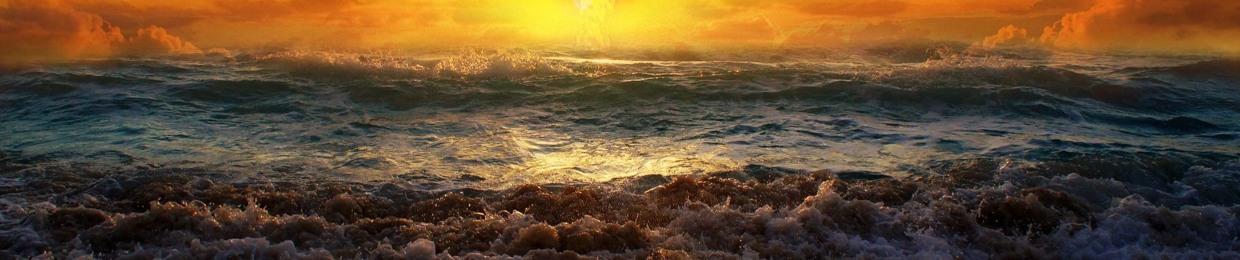 Abdelrahman Abdelhady