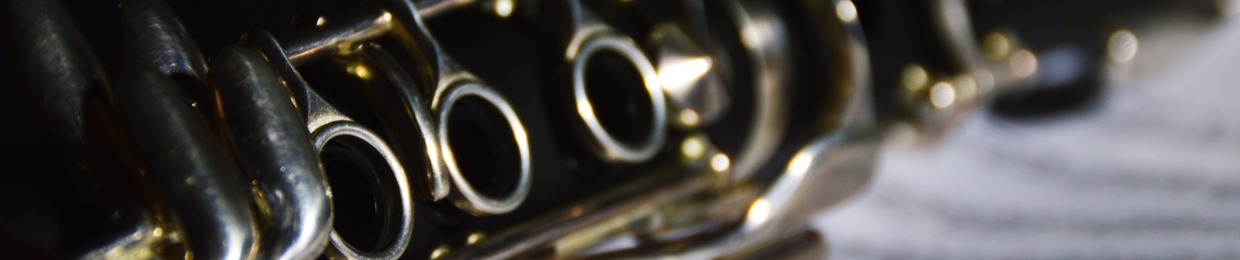 nader magdy ( clarinet )
