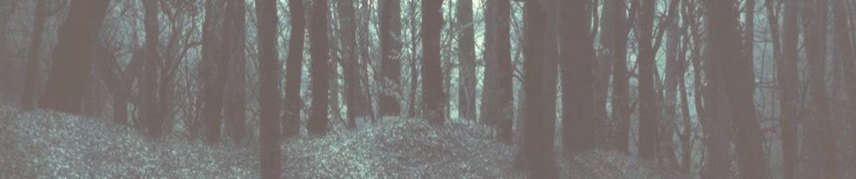 The Runaway Sleepers