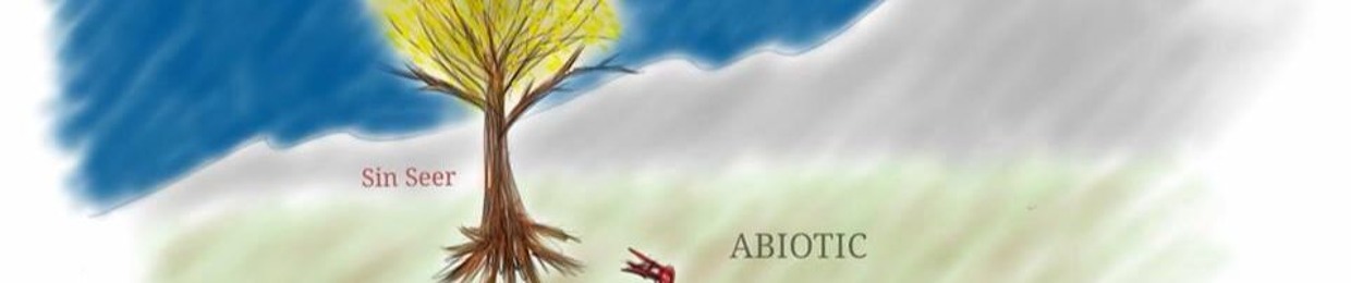 Sin Seer