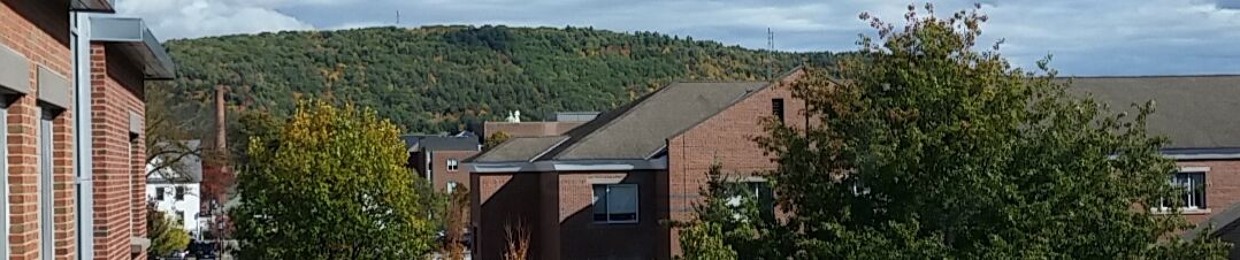 adolescent troublemaker