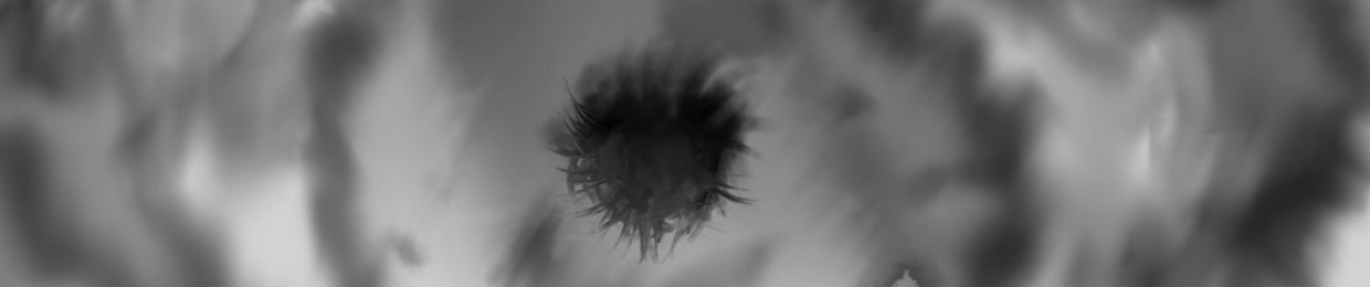 3D-Image