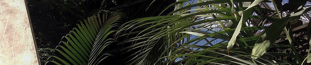 SoundCloud banner for @trashgod