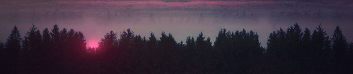 ≪ΤHE ΤRΛP ΛPEX≫