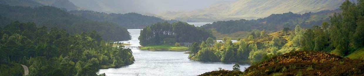 RonanChisholm