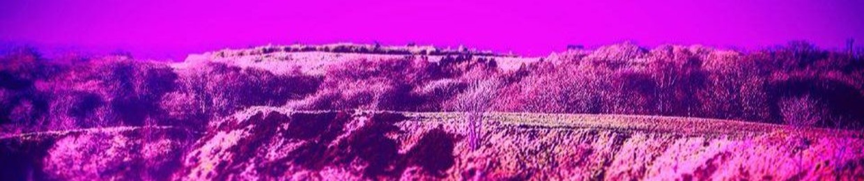 TNT