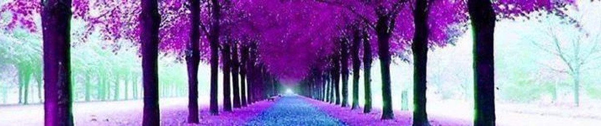 Lujain.Musleh