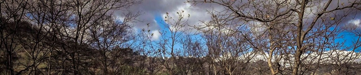 Tagiac, le Natacten.