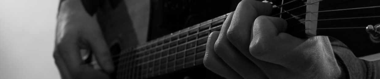 Shawn Palmer Experience