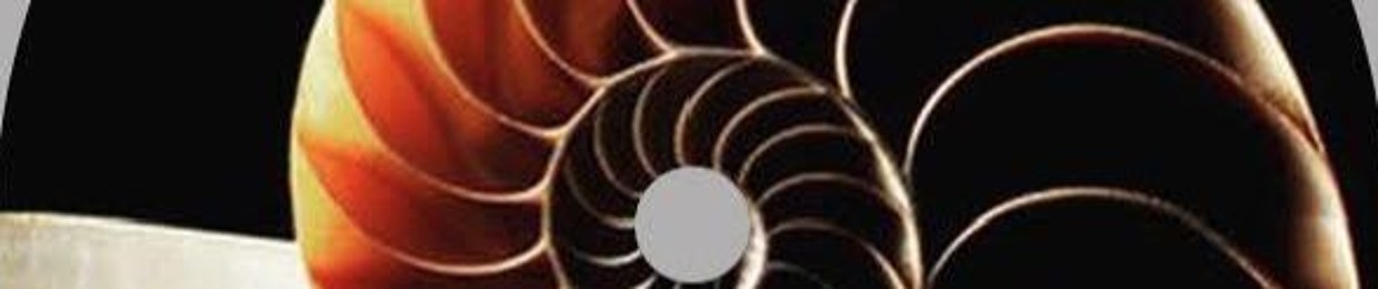 UCV_Universal Consequence music