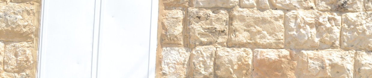Sara_Alawieh