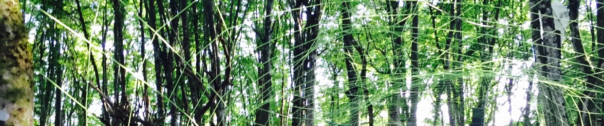 Inner Dimension