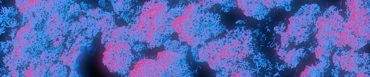 Oculus Noise