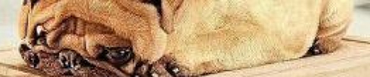 xasty