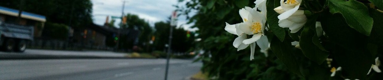 ALL'S WELL THAT ENDS