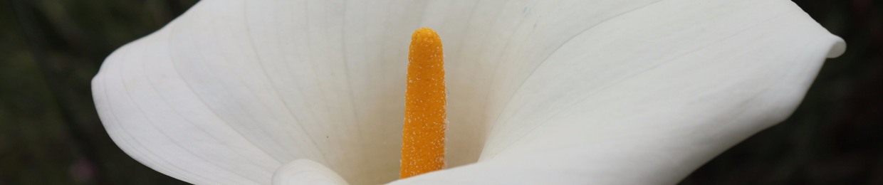 Barry Tapping