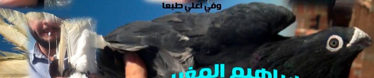 Ibrahem Elmaghrapi