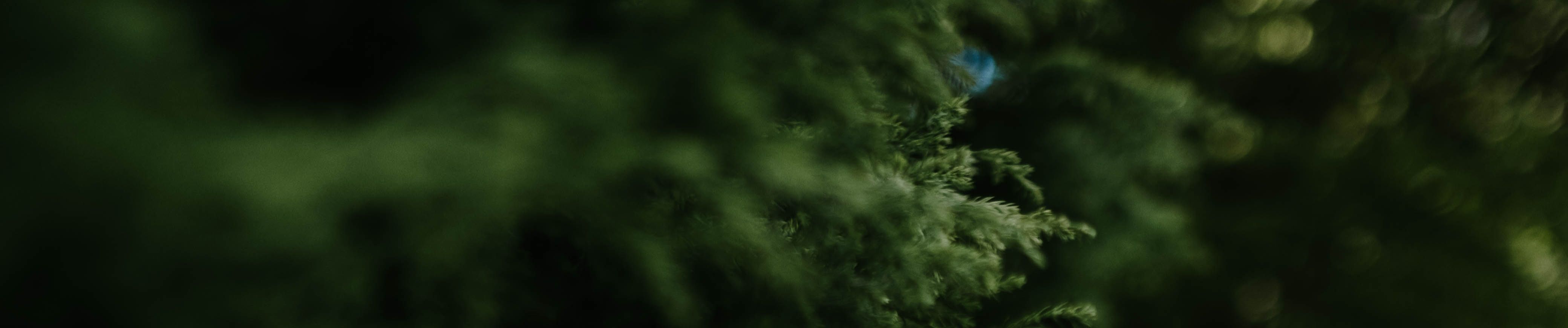 SoundCloud banner for @emergence