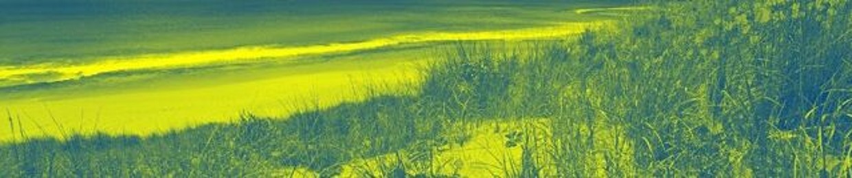 Rich C. oRni c0pEiA.. 🙃