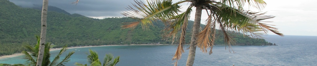 Putera R Mulyono
