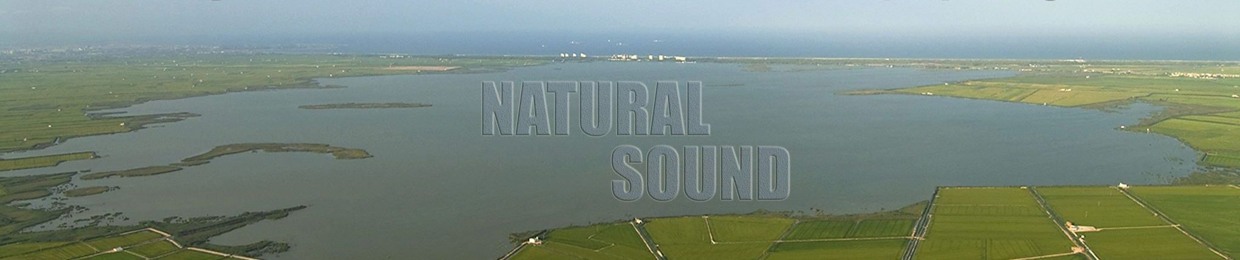 Natural Sound Oficial