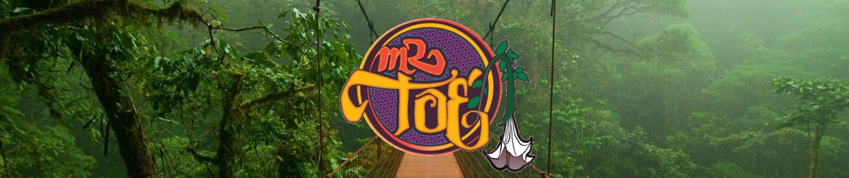 Mr. Toé