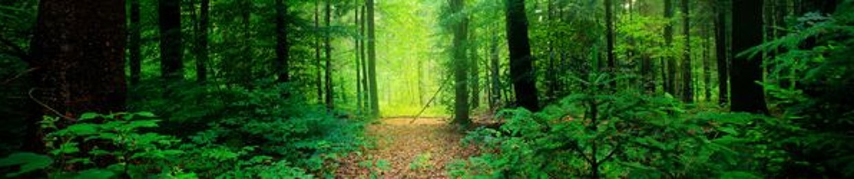 Recent CD's 2016, 2015 and 2014