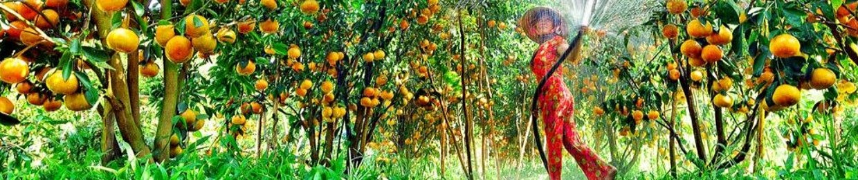 Nguyễn Thịnh 8