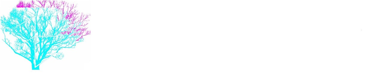 /usr/flp