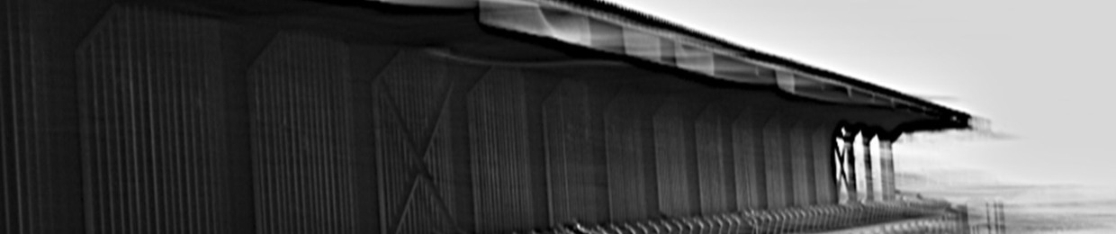 DistortedPerception
