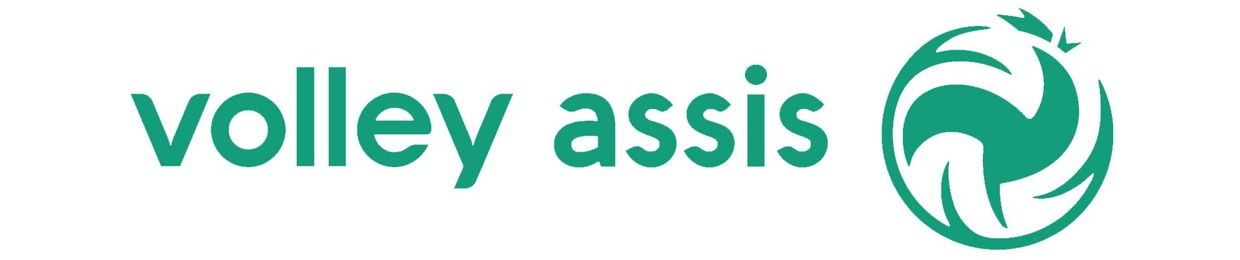 FF Volley Assis