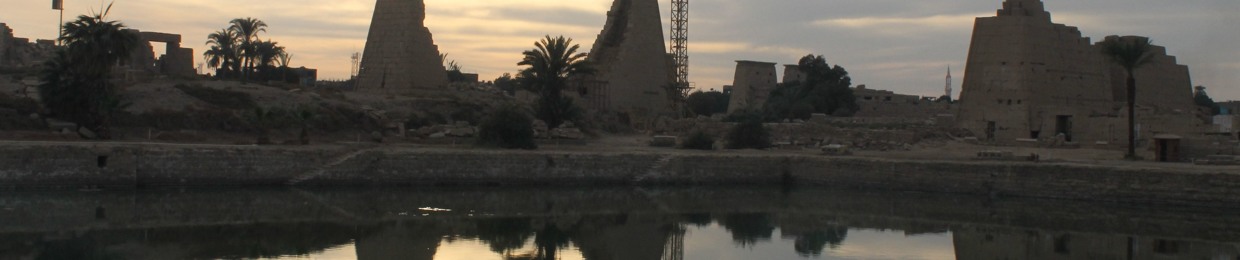 Mohamed Alaa (terry)