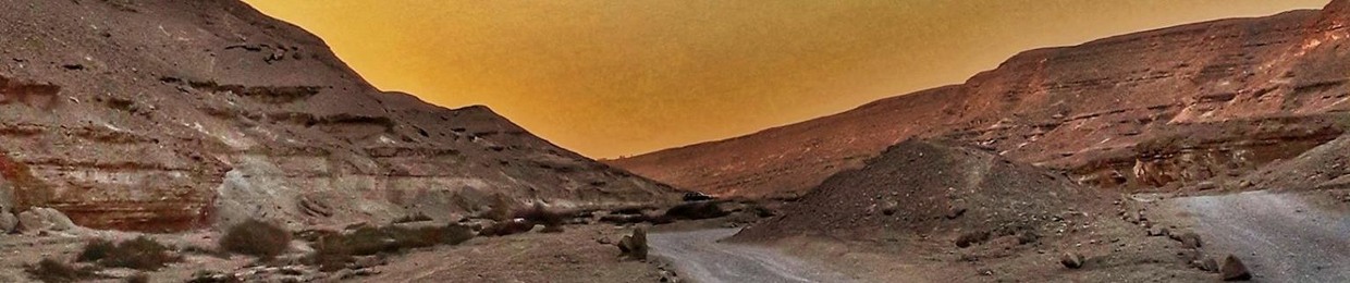 Mustafa ahmed abdel aziz