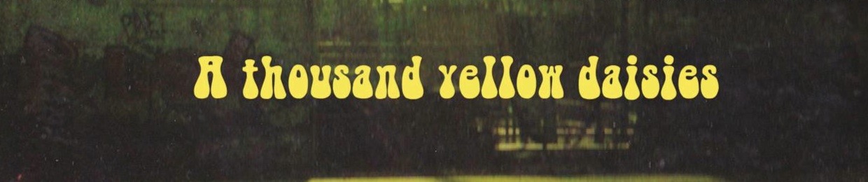 A Thousand Yellow Daisies