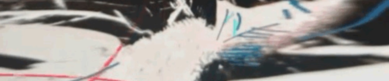 đđđđđđ
đđđ
đ
đđđ