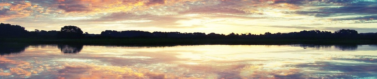 D. (Silence Thereafter & Avoid the Light)
