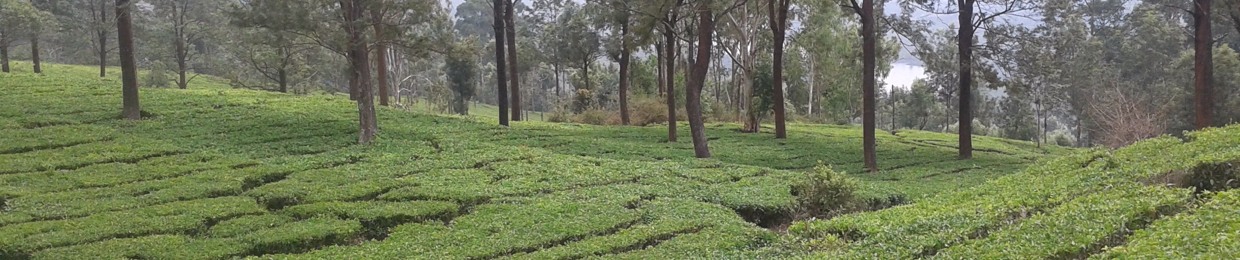 Siddharth Rao 5