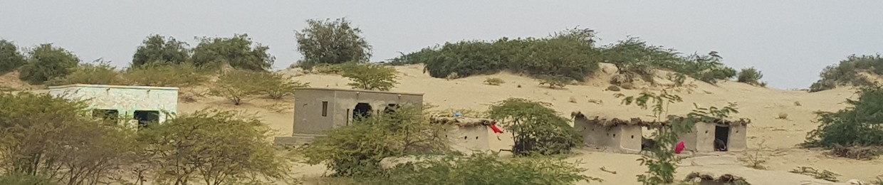 Marwari