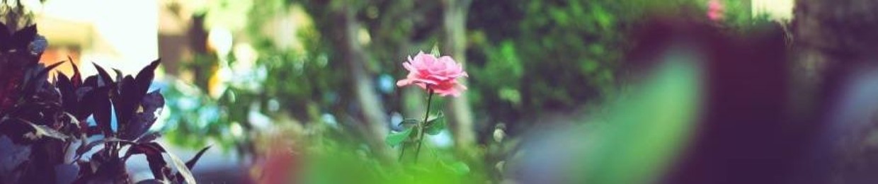 Eng- Abdullah Mustafa