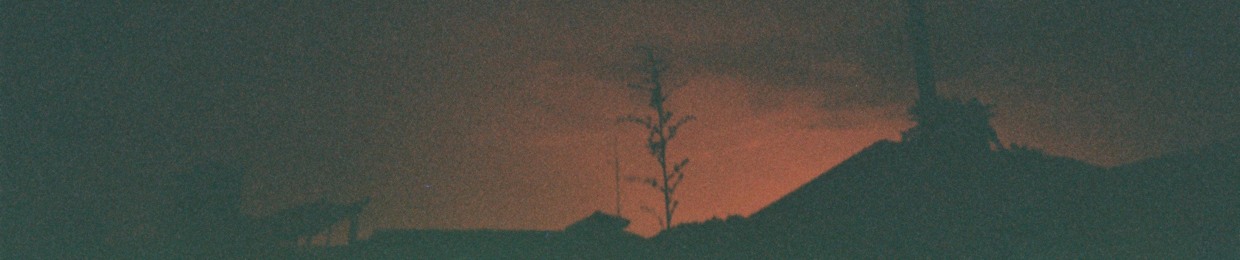 pilavile