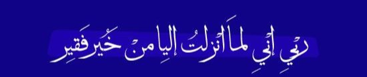 Mahmoud Niazy Moghieb