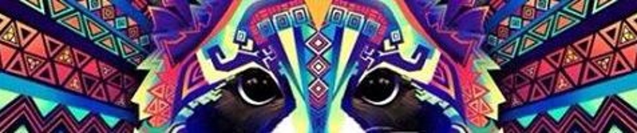 mahmoud.S